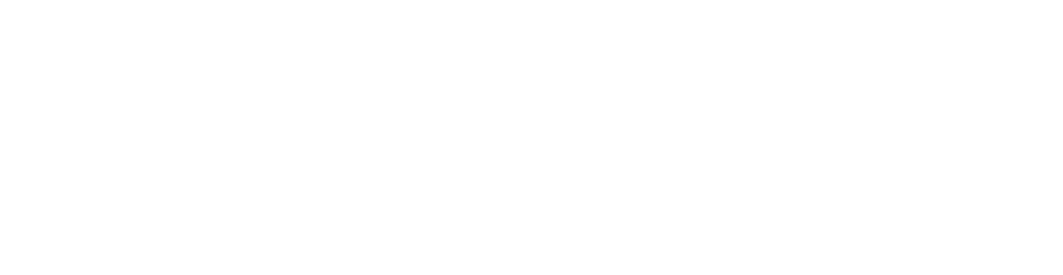 Snai logo